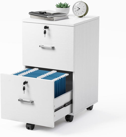 2 Drawer Locking File Cabinet For Letter Size Folders With Tabs,