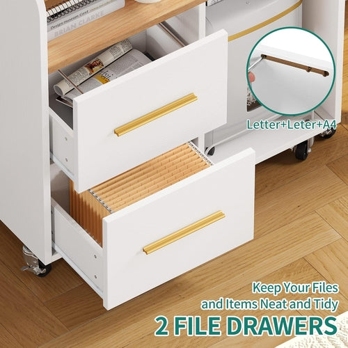 File Cabinet with Charging Station, 2 Drawer Lateral Filing Cabinet,