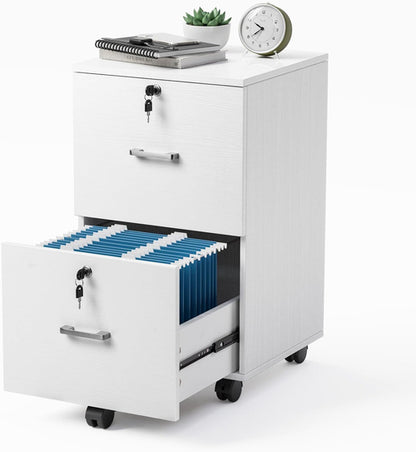2 Drawer Locking File Cabinet For Letter Size Folders With Tabs,